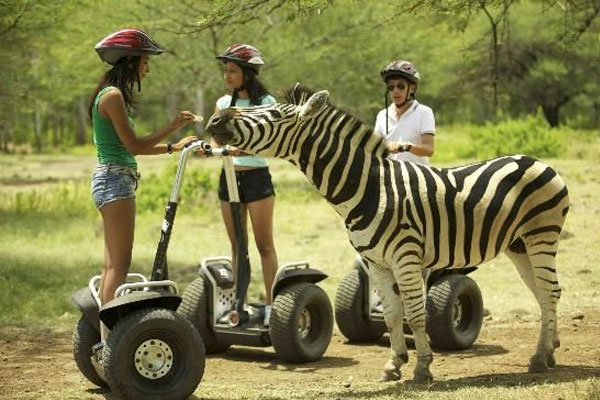 Mauritius Animal Parks